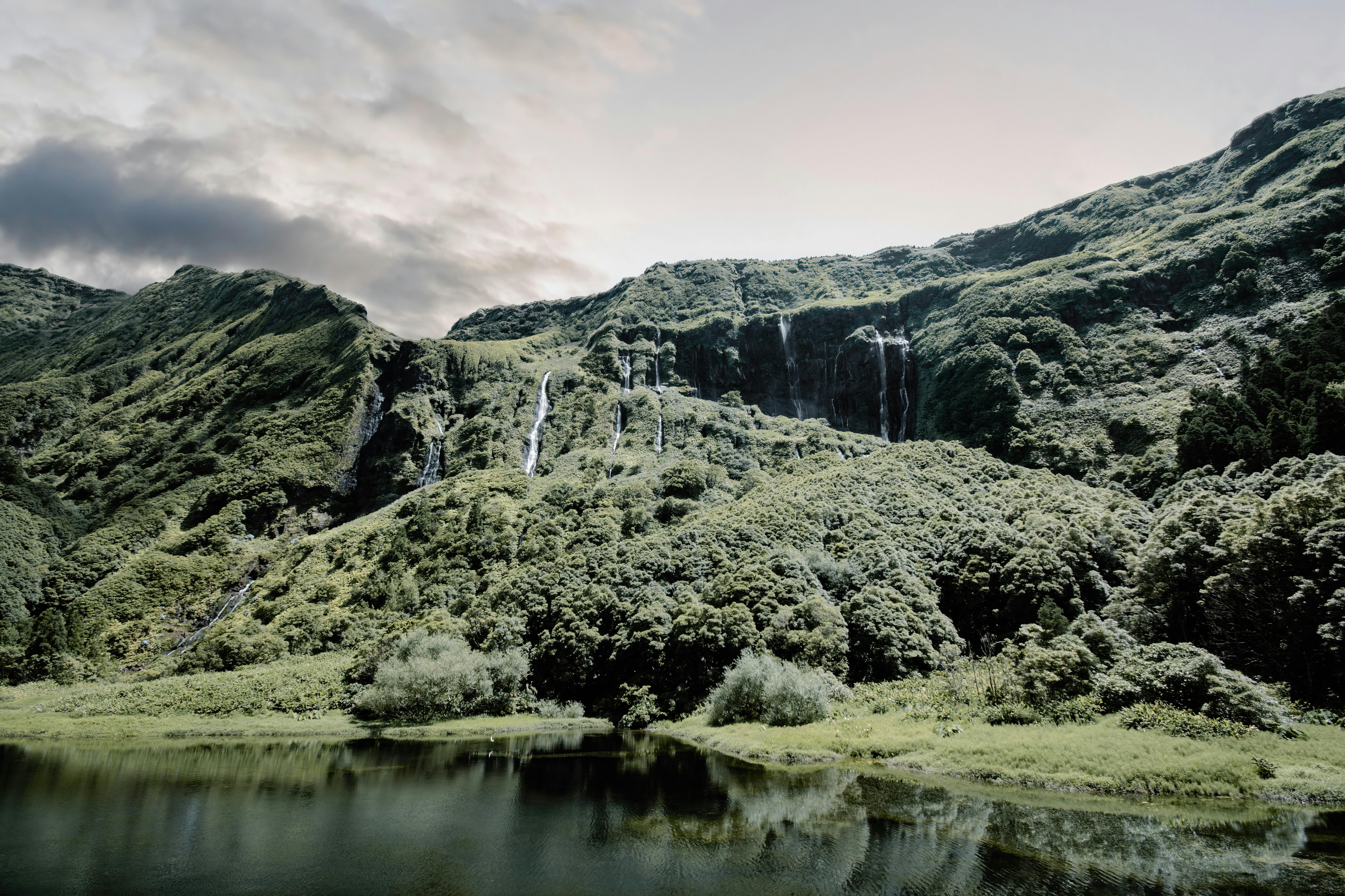A natural landscape - ecological wellbeing and connection to nature