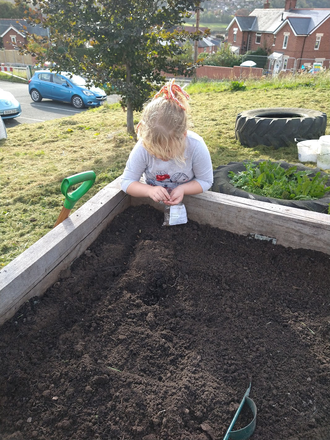 Child holding seeds next to dark soil.